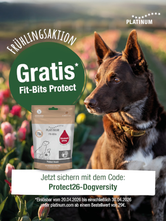 Plantinum Hundefutter
